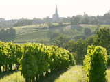 Se abre una nueva faceta de la producción de vino en Europa. Foto: www.burdeos-turismo