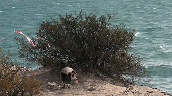 misterio y dudas: hallan huesos y un craneo humano en arroyito misterio y dudas: hallan huesos y un craneo humano en arroyito