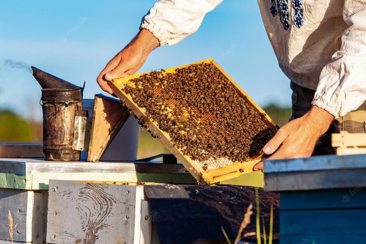 Vigilancia epidemiológica: monitoreo estricto en un radio mínimo de 5 km tras el foco en Río Negro. Vigilancia epidemiológica: monitoreo estricto en un radio mínimo de 5 km tras el foco en Río Negro.