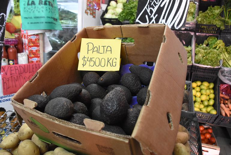 La palta dejó de ser una opción por los elevados precios para muchos neuquinos. La palta dejó de ser una opción por los elevados precios para muchos neuquinos.