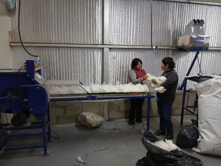 Tiene capacidad para procesar unos 6000 kg de lana sucia al año. Tiene capacidad para procesar unos 6000 kg de lana sucia al año.