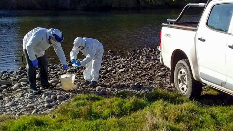 Iniciaron un monitoreo de las aguas residuales por el COVID-19