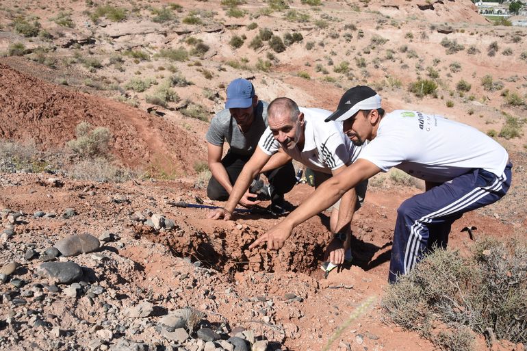 A mediados de diciembre del año pasado, Jorge Calvo junto con estudiantes de geología de la UNCo realizaron una recolección de fragmentos de huevos de dinosaurios saurópodos en  en el Monumento Natural Parque de los Dinosaurios ubicado en el barrio Melipal.