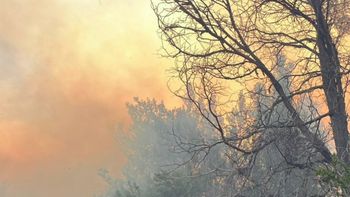 Foto: Parque Nacional Lanín Foto: Parque Nacional Lanín