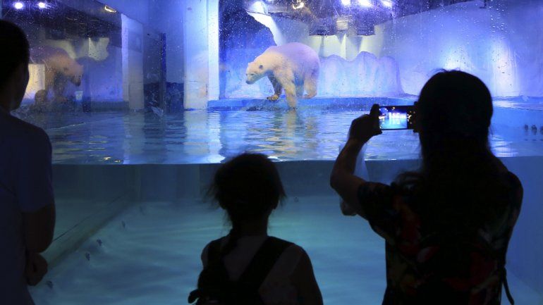 Así se lo puede ver. Según los expertos