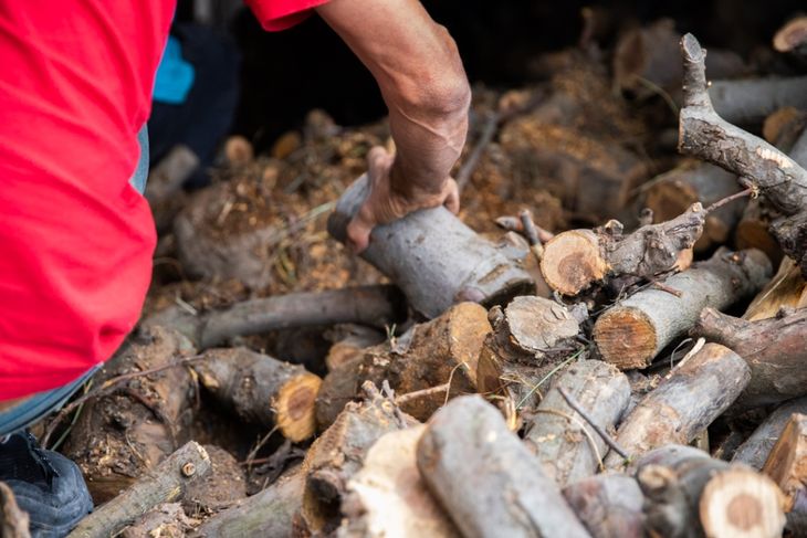 El precio de la lena trepó hasta los $30.000. Foto: Comunicación del Gobierno de Río Negro. El precio de la lena trepó hasta los $30.000. Foto: Comunicación del Gobierno de Río Negro.