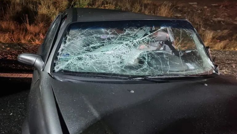 Los daños fueron importantes en los vehículos siniestrados en Ruta 40 Los daños fueron importantes en los vehículos siniestrados en Ruta 40