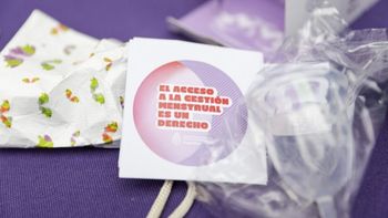 El Gobierno eliminó el MenstruAR y otros 12 programas: Eran proyectos ideológicos del kirchnerismo