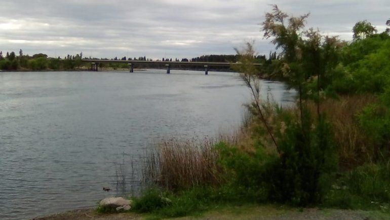 Indignación en Las Perlas porque talaron unos 60 árboles