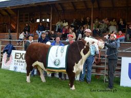 La exposición se llevará a cabo entre el 25 y el 27 de octubre en Junín de los Andes. Foto: gentileza SRN. La exposición se llevará a cabo entre el 25 y el 27 de octubre en Junín de los Andes. Foto: gentileza SRN.