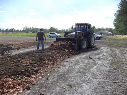 El objetivo es aprovechar las parvas de cebolla que no tienen valor comercial. Foto: prensa UNCo. El objetivo es aprovechar las parvas de cebolla que no tienen valor comercial. Foto: prensa UNCo.