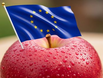 El hemisferios sur se reposiciona como principal abastecedor de manzanas de la UE en contraestación.