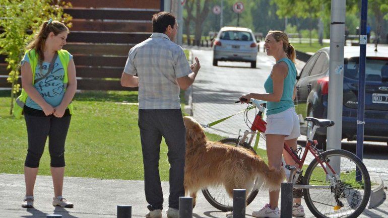 Sin mascotas en los balnearios: 50 dueños notificados