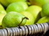 El sector frutícola enfrenta una de las peores campañas de las últimas décadas, con menor producción, aumento de costes y preocupación por la rentabilidad. El sector frutícola enfrenta una de las peores campañas de las últimas décadas, con menor producción, aumento de costes y preocupación por la rentabilidad.