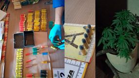 Desarticularon una banda dedicada a la venta de droga y robo de autos