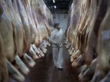 Se observa una clara mejora en volumen sobre las exportaciones de carne.