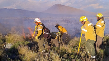 Sigue el combate del fuego en Neuquén: Jamás habíamos tenido 35 focos, fue una locura