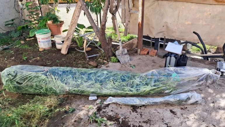 Allanamientos en Centenario por un tiroteo