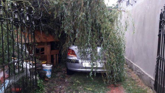 Pilar: así fue el temporal en el que murieron una mujer y sus dos hijas