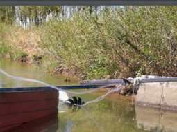 El material esta disponible online. El material esta disponible online.