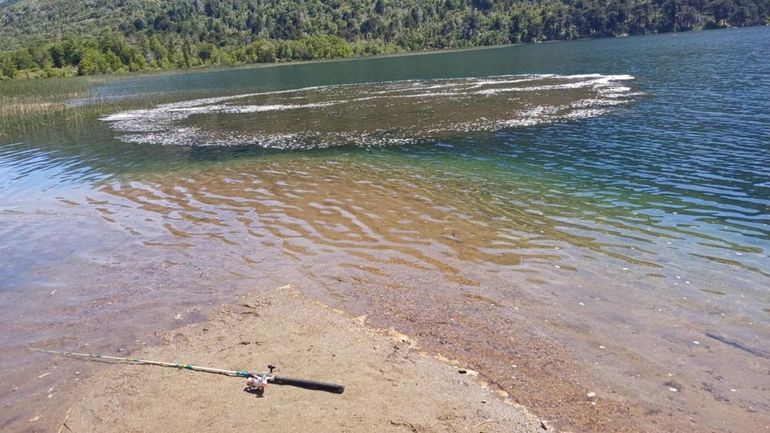 Video: de qué se trata el extraño fenómeno que sorprendió a los turistas en el Lago Nompehuen