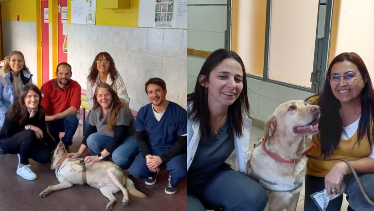Perros y gatos rescatados ayudan a pacientes en Neuquén: ¿de qué se trata?