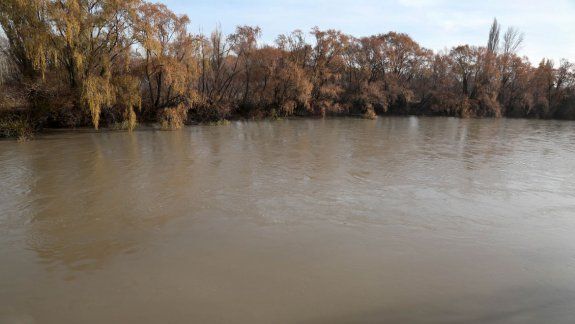 Recursos Hídricos informó sobre la calidad del agua de Añelo