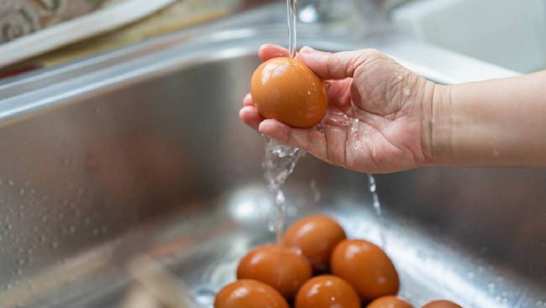 Higiene de los huevos