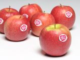 Pink Lady sigue liderando las ventas de manzana en Europa, como un producto premium.