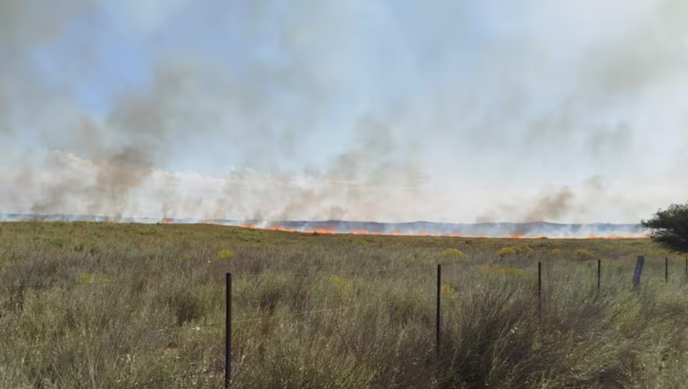 Fuertes incendios rurales afectan varias zonas de La Pampa