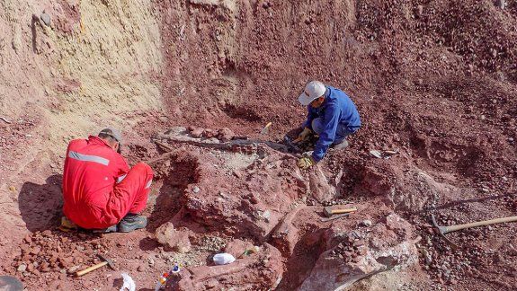 Presentarán nuevo dino encontrado en el norte neuquino