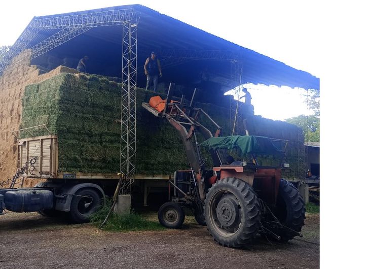 Ganaderos de Choele Choel hicieron su aporte con varios camiones de fardos que fueron a a las zonas siniestradas. Ganaderos de Choele Choel hicieron su aporte con varios camiones de fardos que fueron a a las zonas siniestradas.