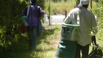 Los trabajadores temporarios que viajan por el país, son conocidos popularmente como golondrina. Los trabajadores temporarios que viajan por el país, son conocidos popularmente como golondrina.