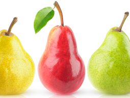 La oferta de peras a nivel mundial continúa creciendo. La oferta de peras a nivel mundial continúa creciendo.