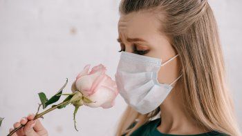 investigan si el unico sintoma de coronavirus puede ser la perdida del olfato investigan si el unico sintoma de coronavirus puede ser la perdida del olfato