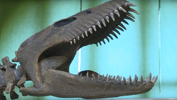 Nueva versión sobre por qué se extinguieron los dinosaurios: qué dice ahora la ciencia