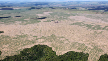hubo deforestacion record de la amazonia brasilena hubo deforestacion record de la amazonia brasilena