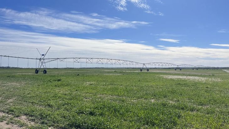 “La Asunción”: 5.000 ha para la nueva frontera agrícola de Río Negro. | Más Produccion “La Asunción”: 5.000 ha para la nueva frontera agrícola de Río Negro.