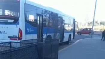 gritos, amenazas de muerte y una pasajera descompensada en un cole en el alto gritos, amenazas de muerte y una pasajera descompensada en un cole en el alto