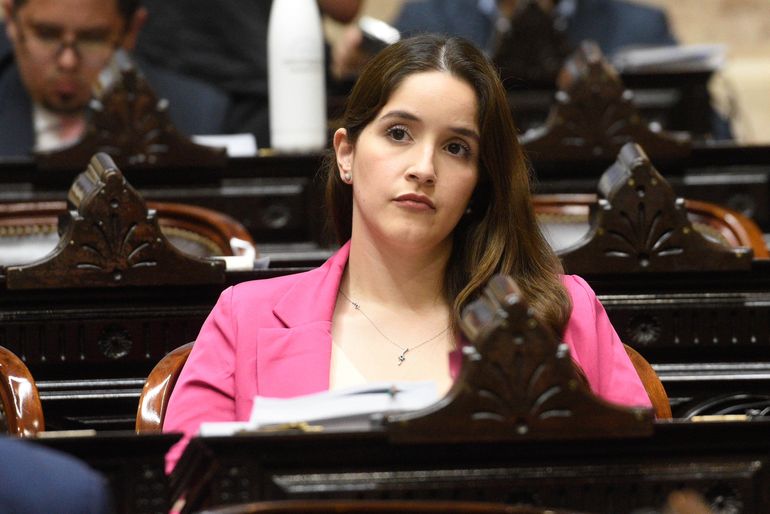 La diputada Rocío Bonacci presentó un proyecto que causó enojo puertas adentro del Gobierno.
