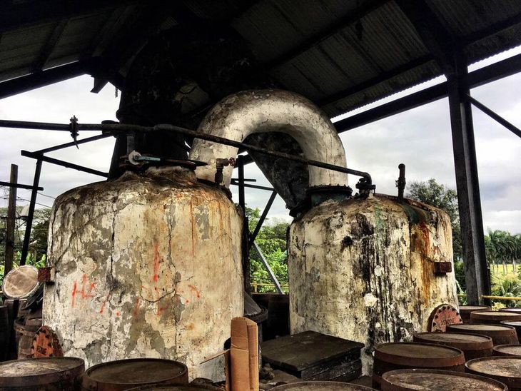 El proceso de producción del ron jamaiquino tiene particularidades que lo hacen único. El proceso de producción del ron jamaiquino tiene particularidades que lo hacen único. 