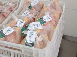 Distintas áreas de gobierno, acompañaron a las autoridades locales desde el financiamiento de obras hasta el registro de la marca “Paso Aguerre”. Foto: gentileza Producción. Distintas áreas de gobierno, acompañaron a las autoridades locales desde el financiamiento de obras hasta el registro de la marca “Paso Aguerre”. Foto: gentileza Producción.