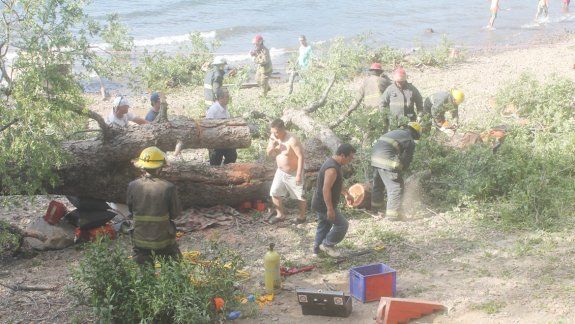 El árbol cedió mientras jugaban en la playa.