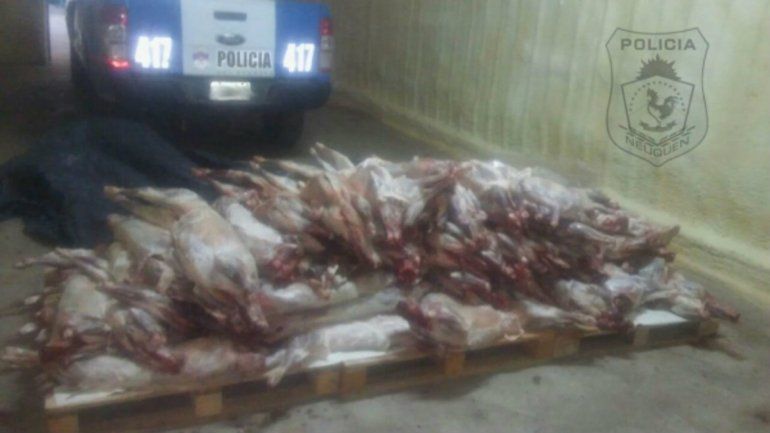 Secuestraron 80 chivos faenados cuando eran trasladados en una camioneta