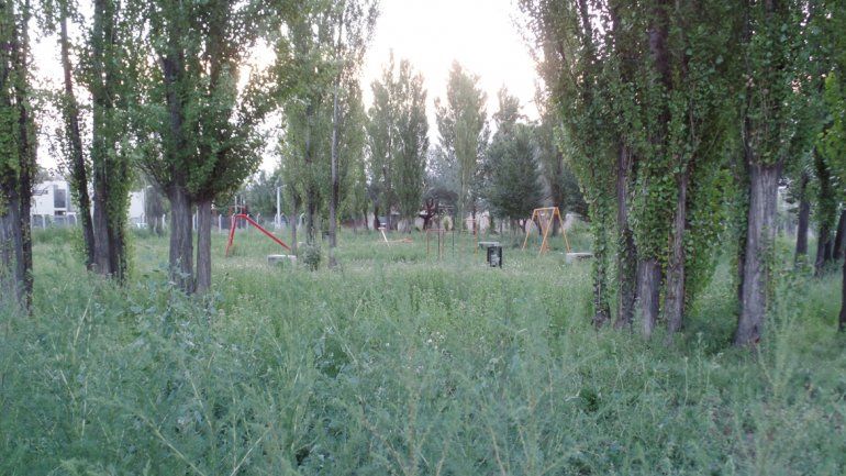 Los niños no pueden acceder a los juegos por la altura de la maleza.
