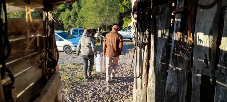 El traslado de la leche, otra de las tareas del tambo. Foto: gentileza. El traslado de la leche, otra de las tareas del tambo. Foto: gentileza.