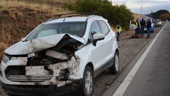 Un ciervo fue atropellado por tres vehículos en la Ruta 40