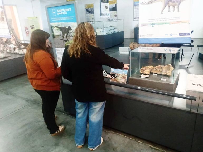 Restos del dinosaurio encontrado en el lugar, actualmente exhibidos en el museo Olsacher de Zapala. Restos del dinosaurio encontrado en el lugar, actualmente exhibidos en el museo Olsacher de Zapala.