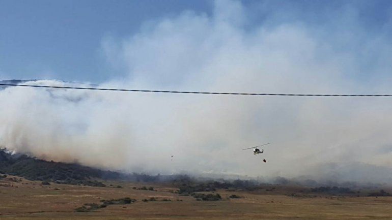 Un incendio cerca de Aluminé consumió 200 hectáreas de bosque nativo