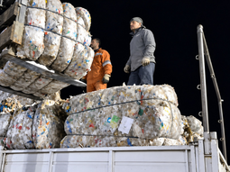 Precintado oficial del cargamento de 14.850 kilogramos netos bajo supervisión veterinaria del SENASA.